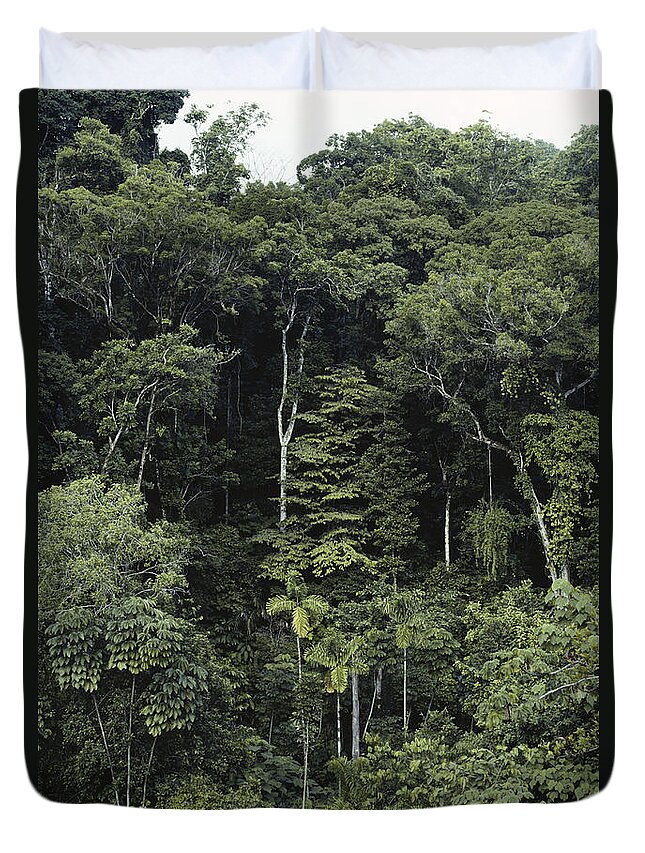 Tropical Rainforest Duvet Cover featuring the photograph Costa Rican Rainforest Layers by Gregory G. Dimijian, M.D.