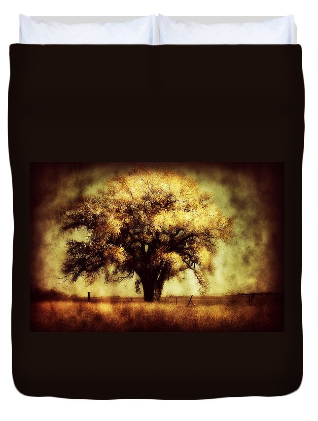 Trees Duvet Cover featuring the photograph Cottonwood 4 by Julie Hamilton