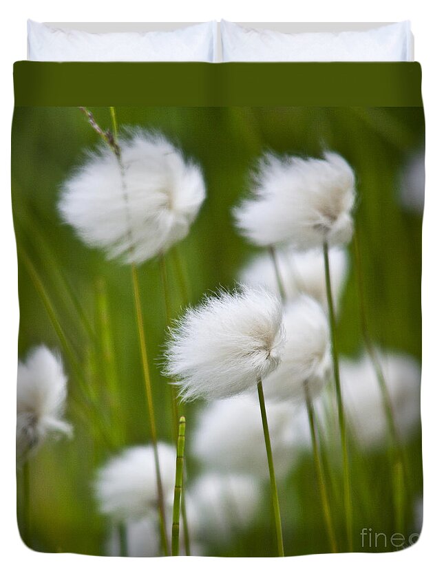 Heiko Duvet Cover featuring the photograph Cottonsedge by Heiko Koehrer-Wagner