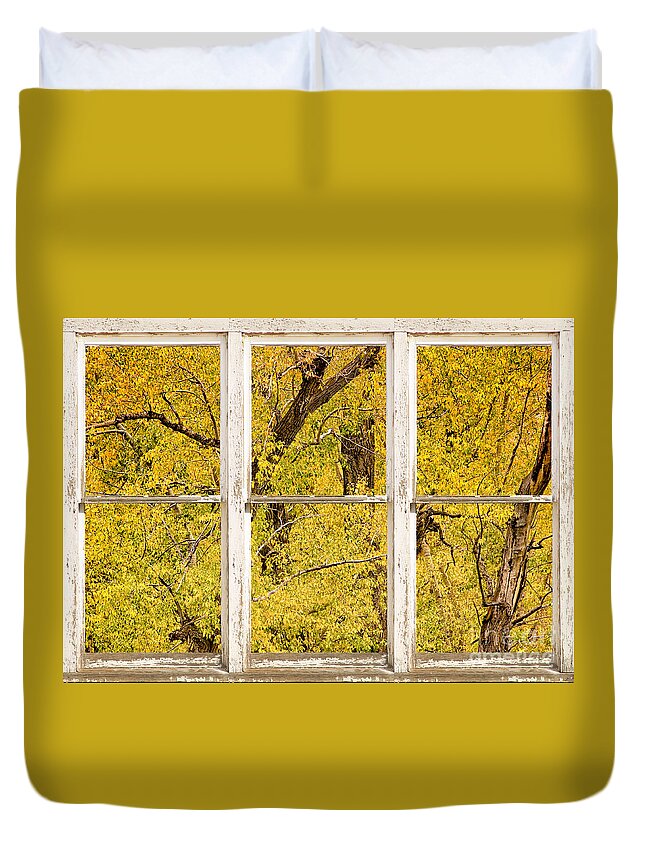 Window Duvet Cover featuring the photograph Cottonwood Fall Foliage Colors Rustic Farm Window View by James BO Insogna