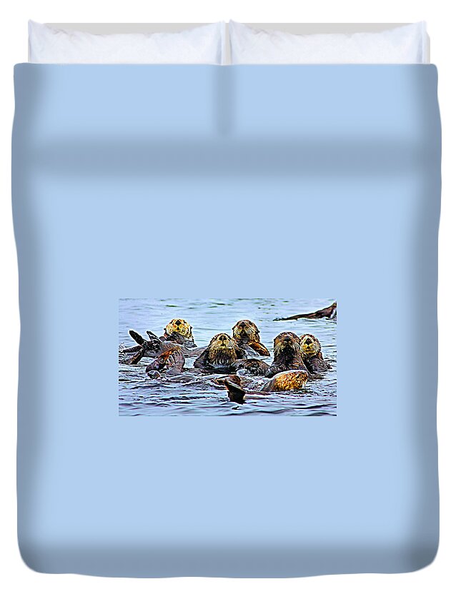 Sea Otters Duvet Cover featuring the photograph Couch Critters by Kristin Elmquist