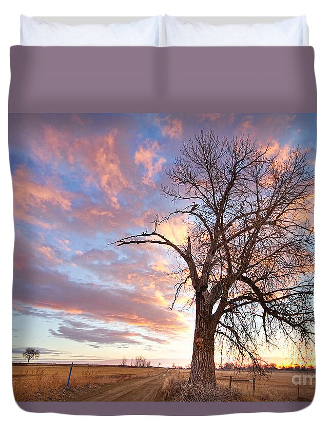 Sunrise Duvet Cover featuring the photograph Country Morning High by James BO Insogna