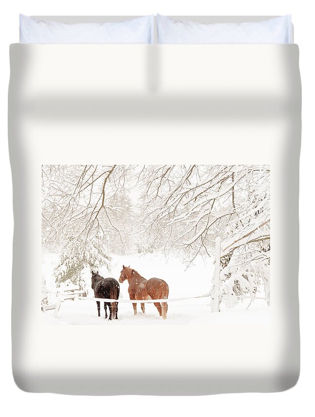 Landscapes Duvet Cover featuring the photograph Country Snow by Cheryl Baxter