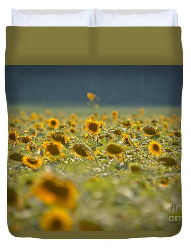 Sunflowers Duvet Cover featuring the photograph Country Sunflowers by Cheryl Baxter