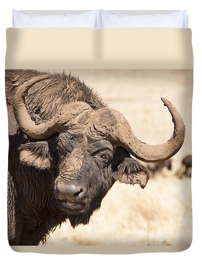 African Buffalo Duvet Cover featuring the photograph Covered in Mud V4 by Douglas Barnard