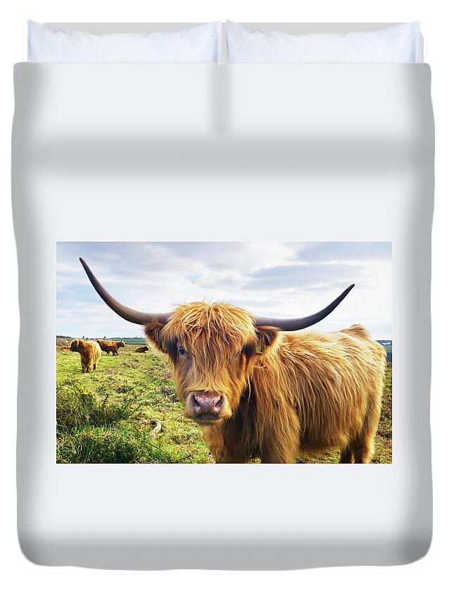 Horned Duvet Cover featuring the photograph Cow by Johngollop