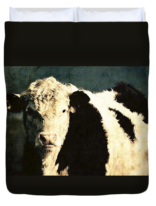 Cow Duvet Cover featuring the photograph Cow with Blue background by Marysue Ryan
