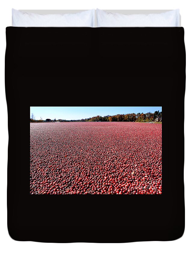 New Jersey Duvet Cover featuring the photograph Cranberry Bog in New Jersey by Olivier Le Queinec