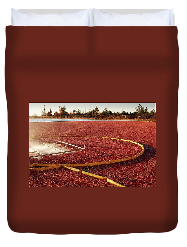 Working Duvet Cover featuring the photograph Cranberry Farm Harvesting For by Yinyang