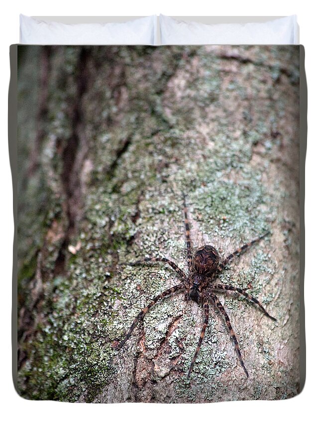 Spider Duvet Cover featuring the photograph Creepy Spider by Karol Livote