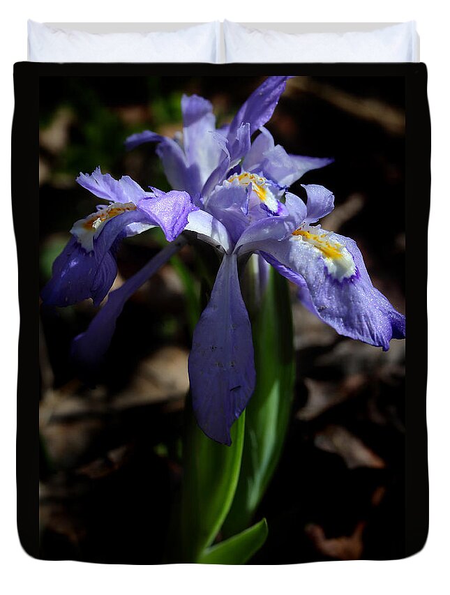 Crested Dwarf Iris Duvet Cover featuring the photograph Crested Dwarf Iris by Michael Eingle