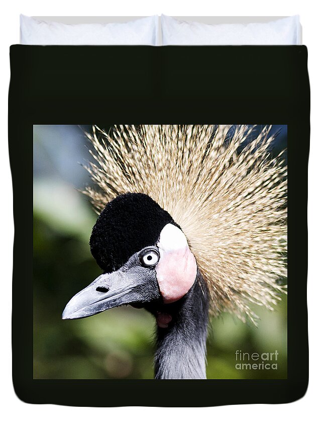 Heron Duvet Cover featuring the photograph Crowned Heron 2 by Pam Holdsworth