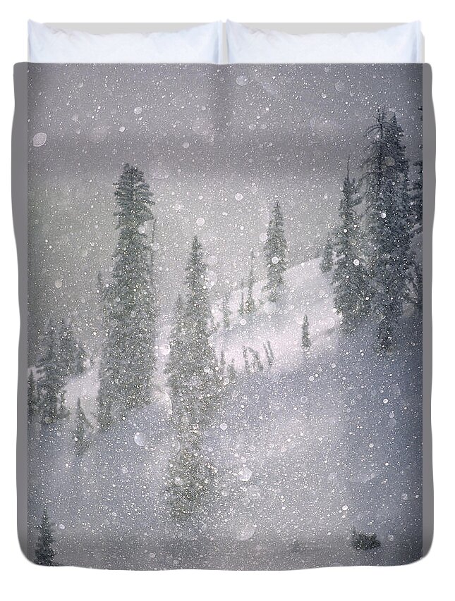 North America Duvet Cover featuring the photograph Crystalized snowflakes falling while being backlit by the sun by Don Landwehrle