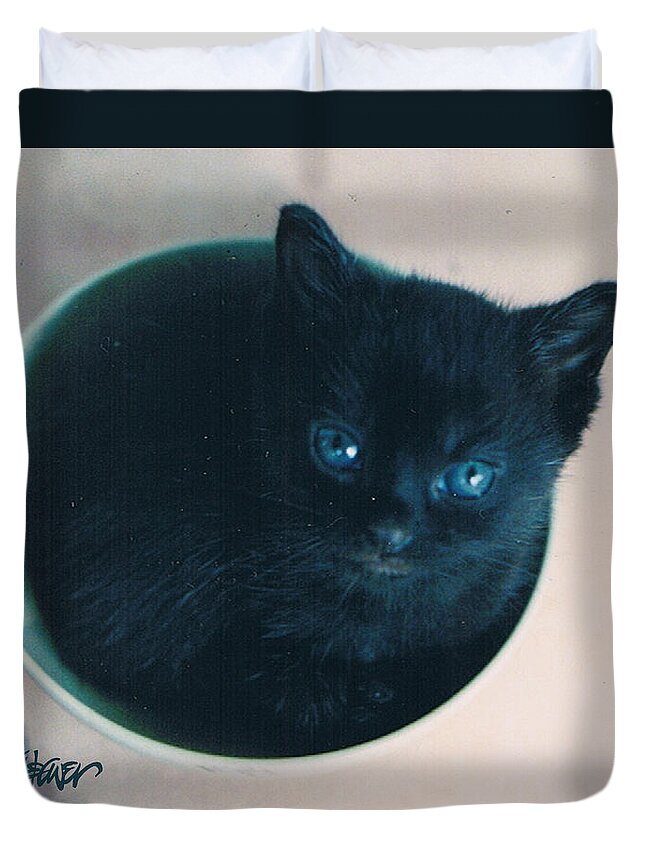 Cat Duvet Cover featuring the photograph Cup O'Kitty by Seth Weaver