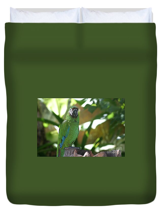 Curacao Duvet Cover featuring the photograph Curacao Parrot by Living Color Photography Lorraine Lynch