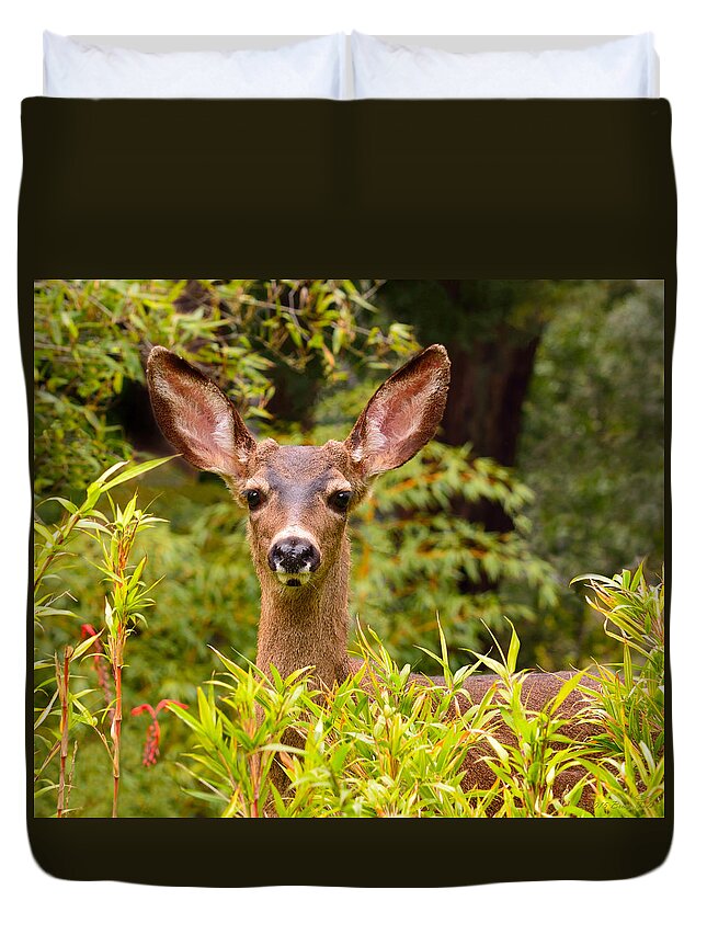 Deer Duvet Cover featuring the photograph Curiosity by Brian Tada