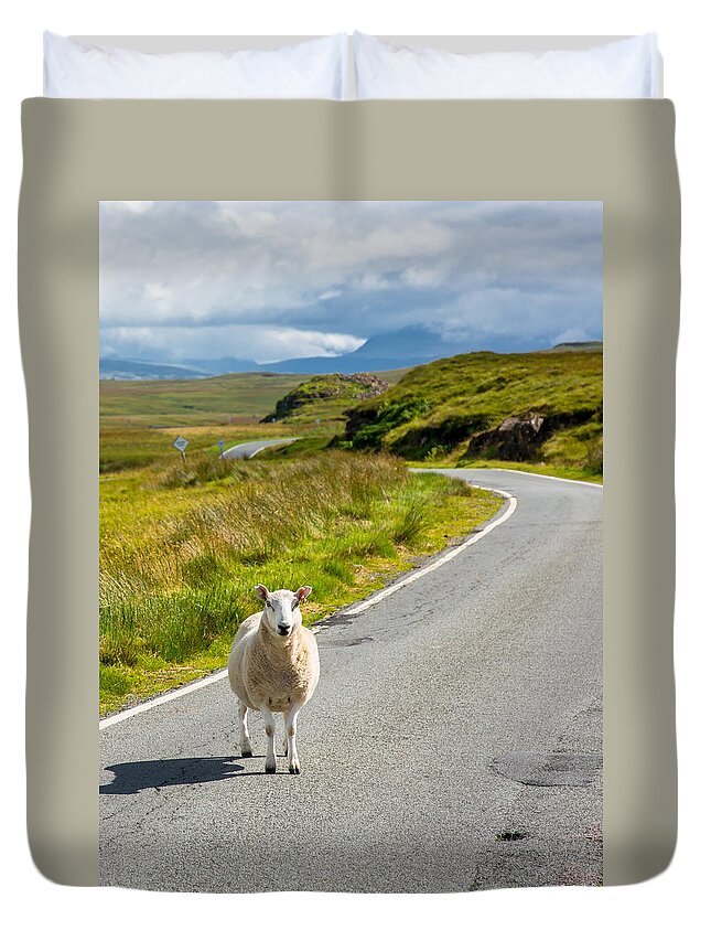 Scotland Duvet Cover featuring the photograph Curious Sheep On Scottish Road by Andreas Berthold