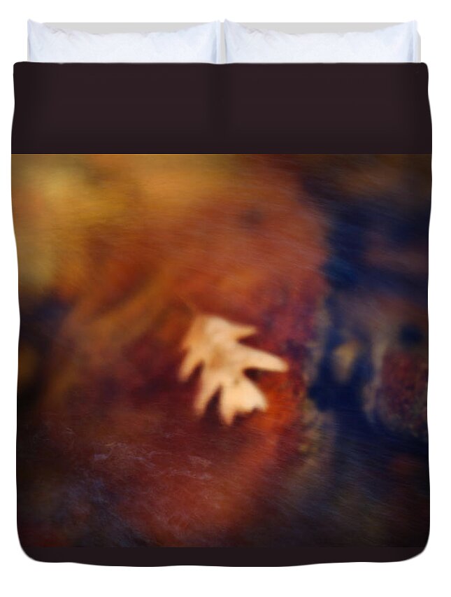 Leaf Duvet Cover featuring the photograph Current Position by Mark Ross