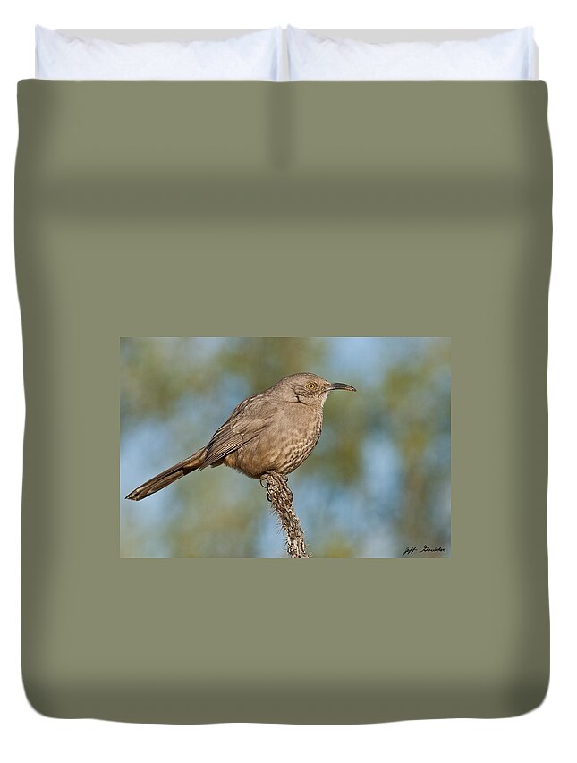 Animal Duvet Cover featuring the photograph Curve-Billed Thrasher by Jeff Goulden