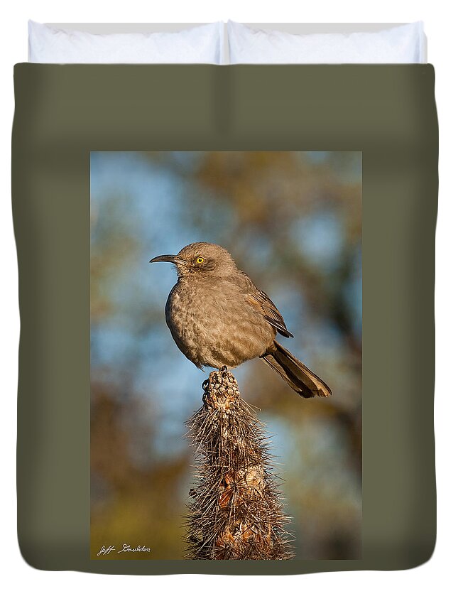 Animal Duvet Cover featuring the photograph Curve-Billed Thrasher on a Cactus by Jeff Goulden