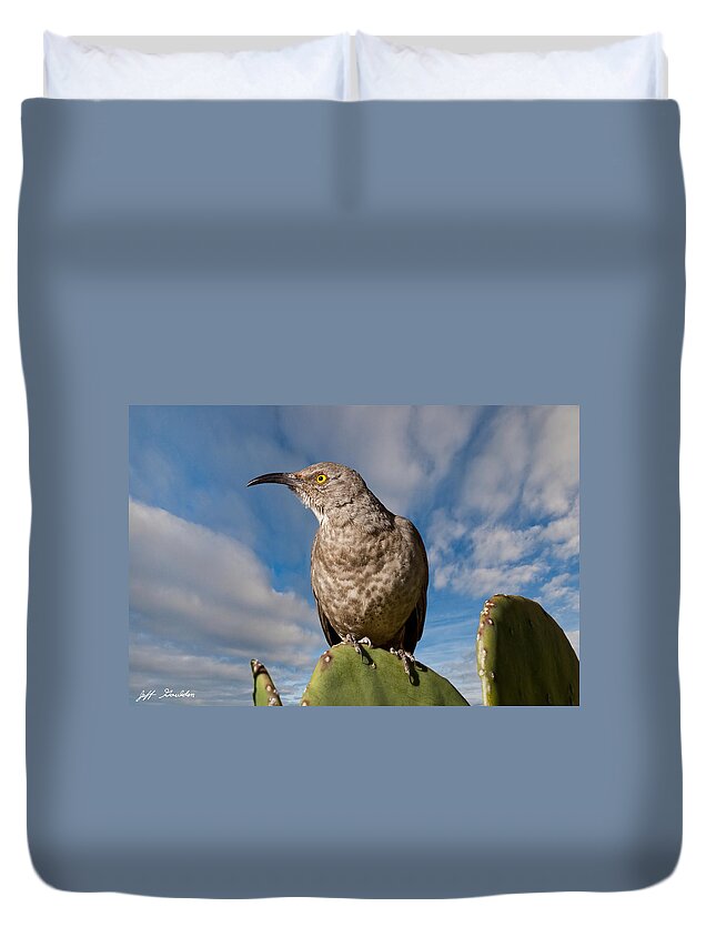 Animal Duvet Cover featuring the photograph Curve-Billed Thrasher on a Prickly Pear Cactus by Jeff Goulden