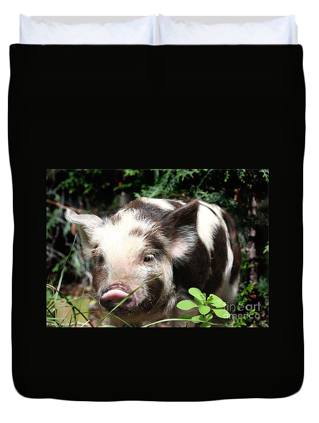 Baby Duvet Cover featuring the photograph Cute baby hairy piglet by Simon Bratt