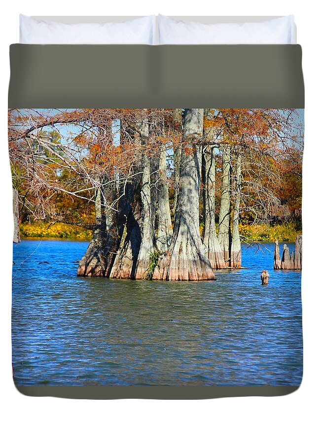 Water Duvet Cover featuring the photograph Cypress Birdhouse by Karen Wagner