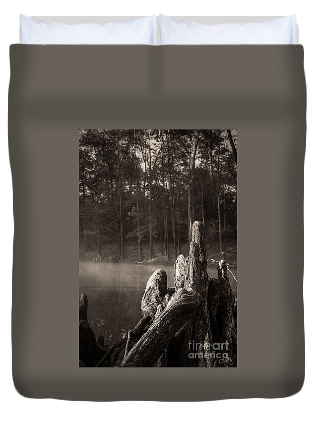 Cypress Knees Duvet Cover featuring the photograph Cypress Knees in Sepia by Imagery by Charly