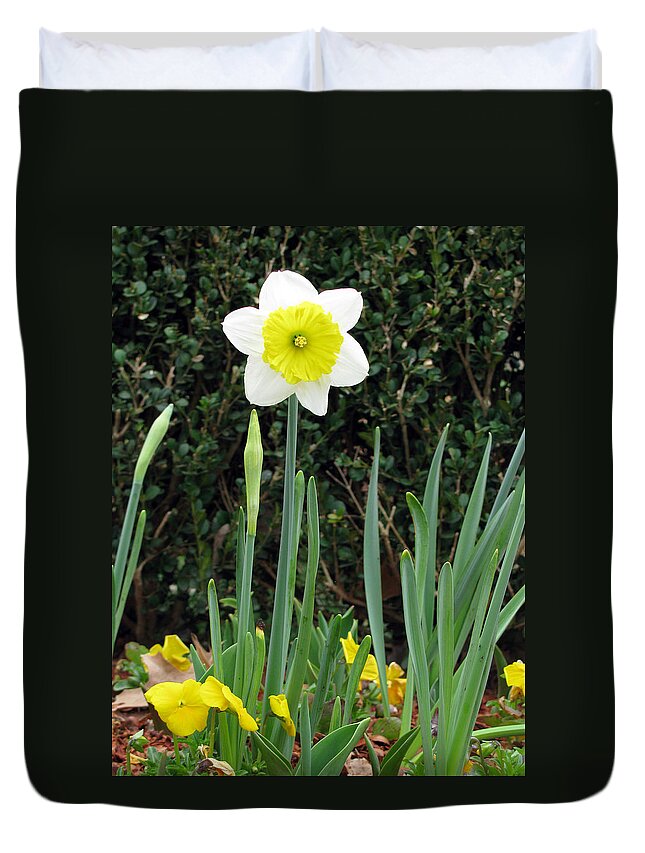 Daffodil Duvet Cover featuring the photograph Daffodil 19 by Pamela Critchlow