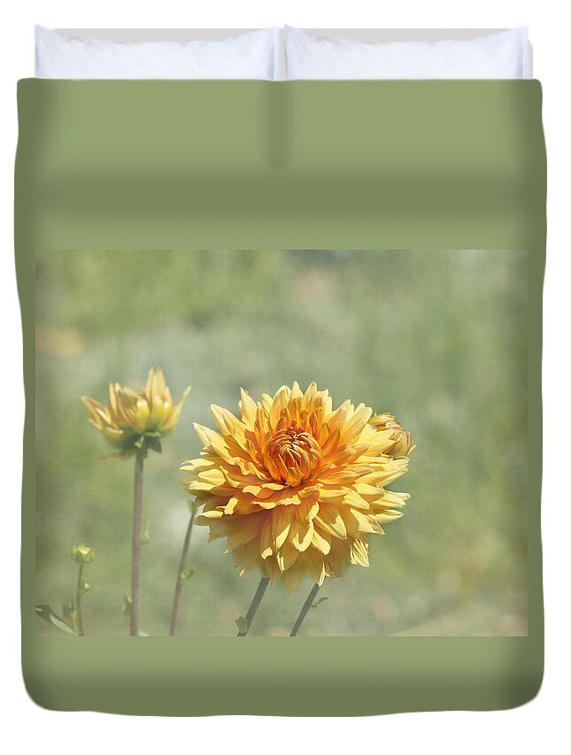 Orange Dahlia Duvet Cover featuring the photograph Dahlia Flowers by Kim Hojnacki