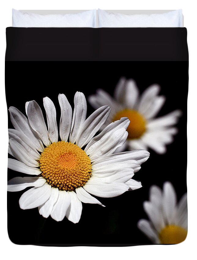 Daisies Duvet Cover featuring the photograph Daisies by Rona Black