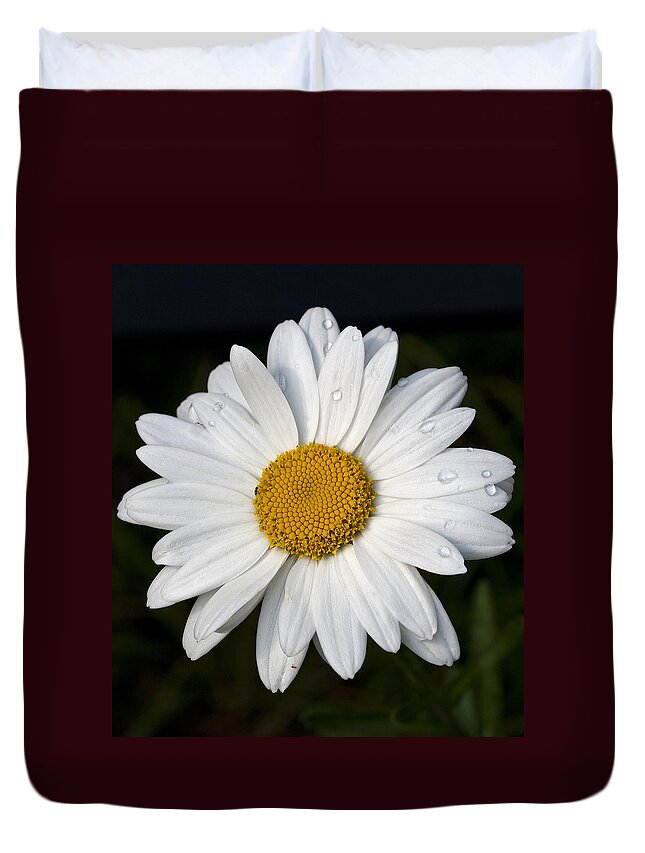 Cumc Duvet Cover featuring the photograph Daisy-1 by Charles Hite