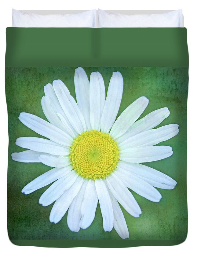 Outdoors Duvet Cover featuring the photograph Daisy Flower Against Green Background by Daniela Duncan