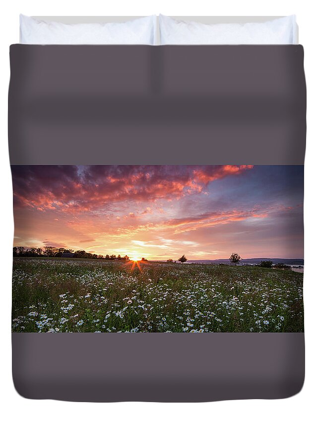 Tranquility Duvet Cover featuring the photograph Daisy Flower by Tobias Knoch