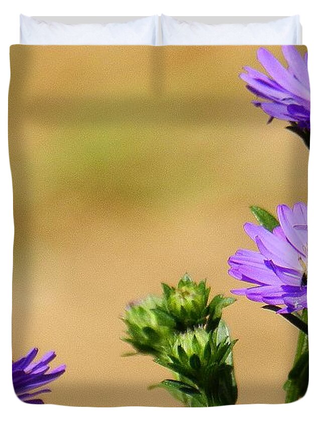 Floral Duvet Cover featuring the photograph Daisy Friends by Julia Hassett