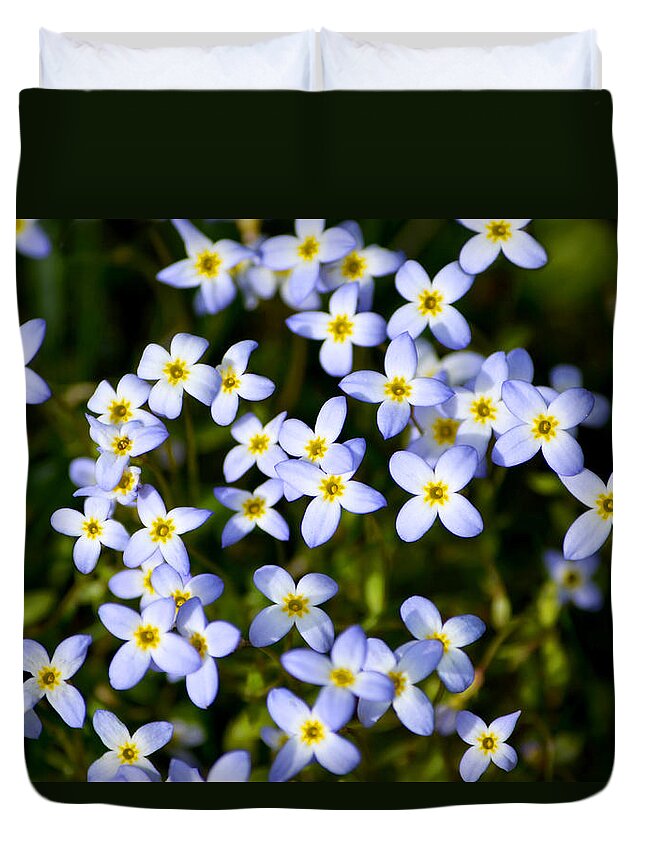 Spring Flowers Duvet Cover featuring the photograph Spring Bluet Flowers by Christina Rollo