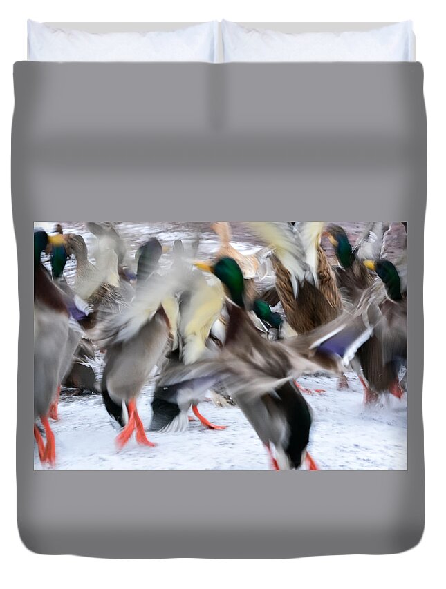 Mallards Duvet Cover featuring the photograph Dancing Ducks by Holden The Moment