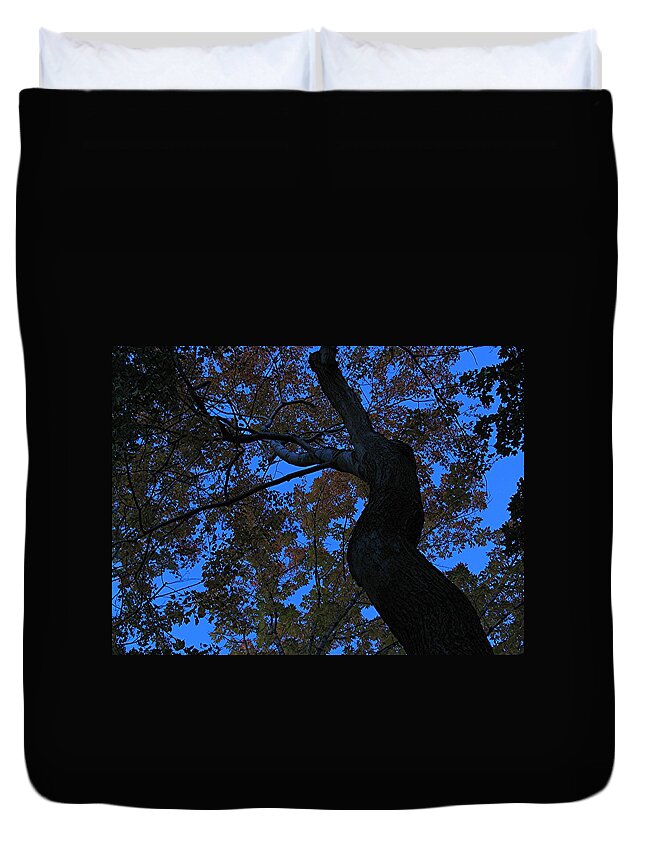 Tree Duvet Cover featuring the photograph Dancing by Juergen Roth