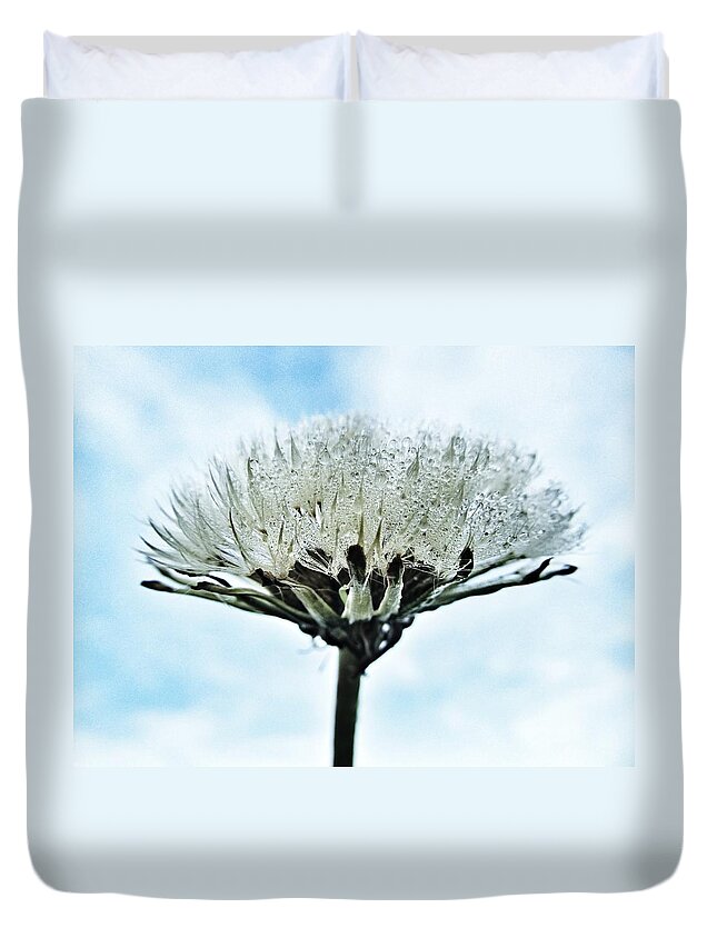 Raindrops Duvet Cover featuring the photograph Dandelion after Rain by Marianna Mills