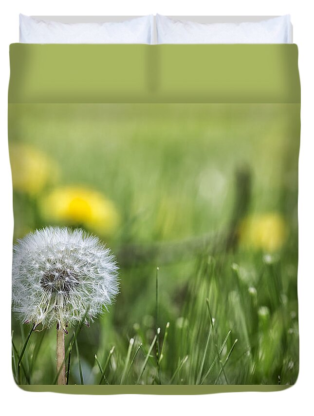 Dandelion Duvet Cover featuring the photograph Dandelion Don't Tell No Lies by Belinda Greb