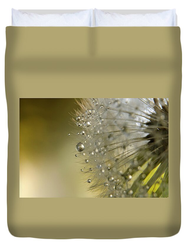 Fragility Duvet Cover featuring the photograph Dandelion Macro by Stock colors