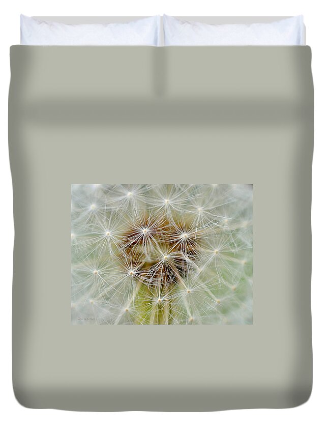 Dandelion Duvet Cover featuring the photograph Dandelion Matrix by Andrea Platt
