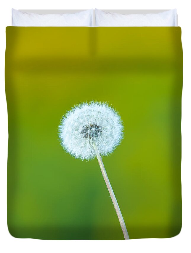 Fall Duvet Cover featuring the photograph Dandelion by Sebastian Musial
