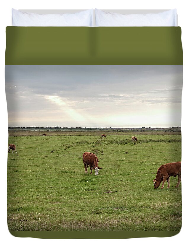 Cow Duvet Cover featuring the photograph Danish Cows by Carstenbrandt