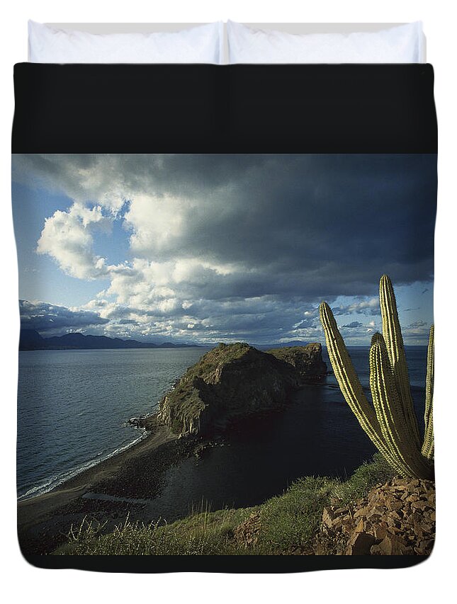Feb0514 Duvet Cover featuring the photograph Danzante Island Baja California Mexico by Tui De Roy