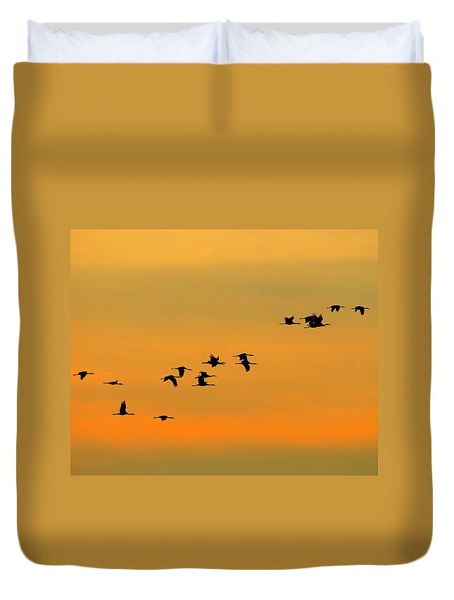 Sandhill Crane Duvet Cover featuring the photograph Dawn Migration by Tony Beck