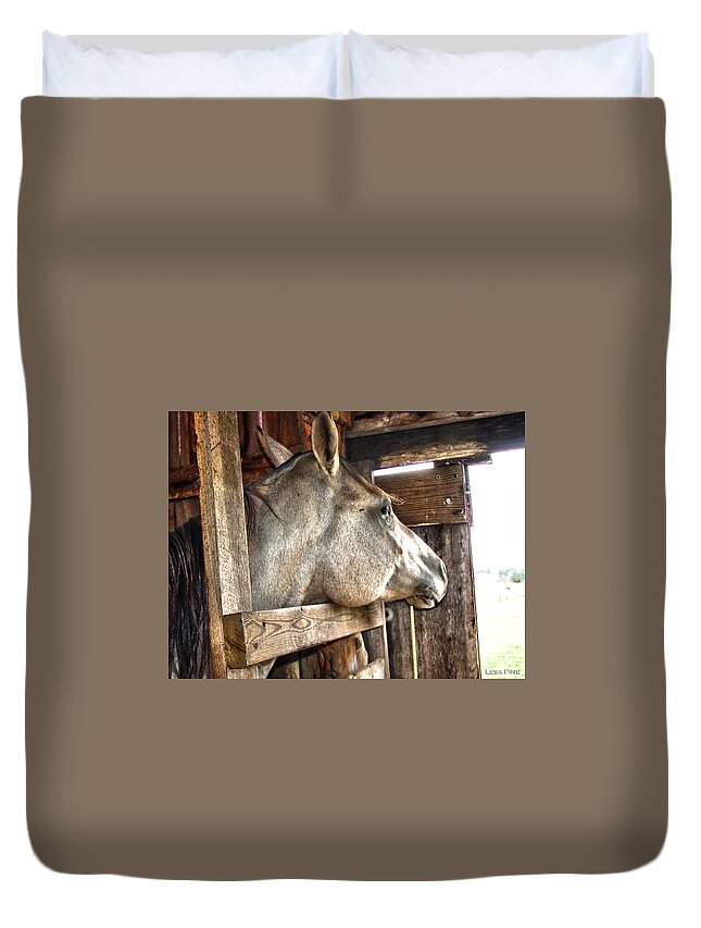 Spotted Horse Duvet Cover featuring the digital art Daydreaming by Lesa Fine