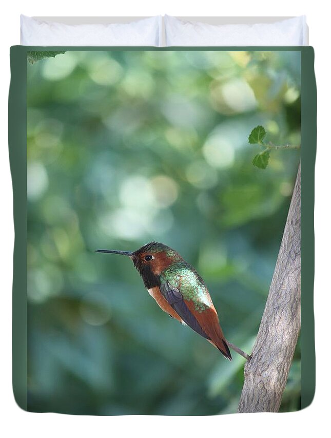 Allen's Hummingbird Duvet Cover featuring the photograph Dazzling Gem by Amy Gallagher