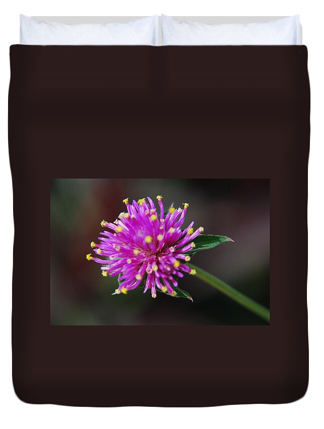 Flower Duvet Cover featuring the photograph Dbg 050812-1779 by Tam Ryan