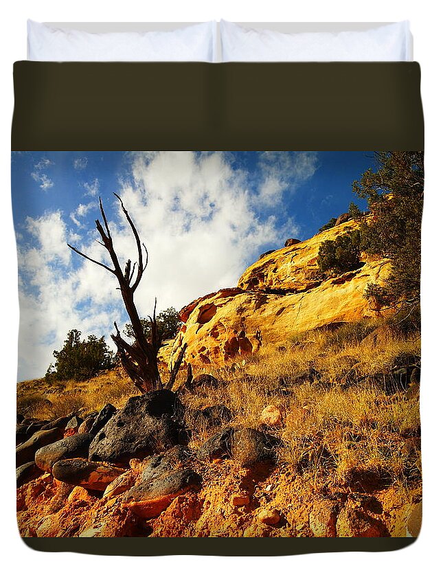 Rocks Duvet Cover featuring the photograph Dead Tree Against The Blue Sky by Jeff Swan